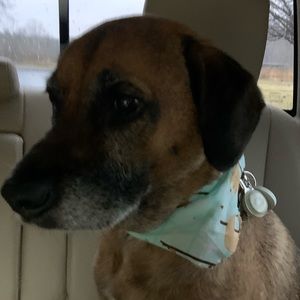 Meet your Posher, Brian